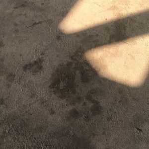 Meet your Posher, Sadee